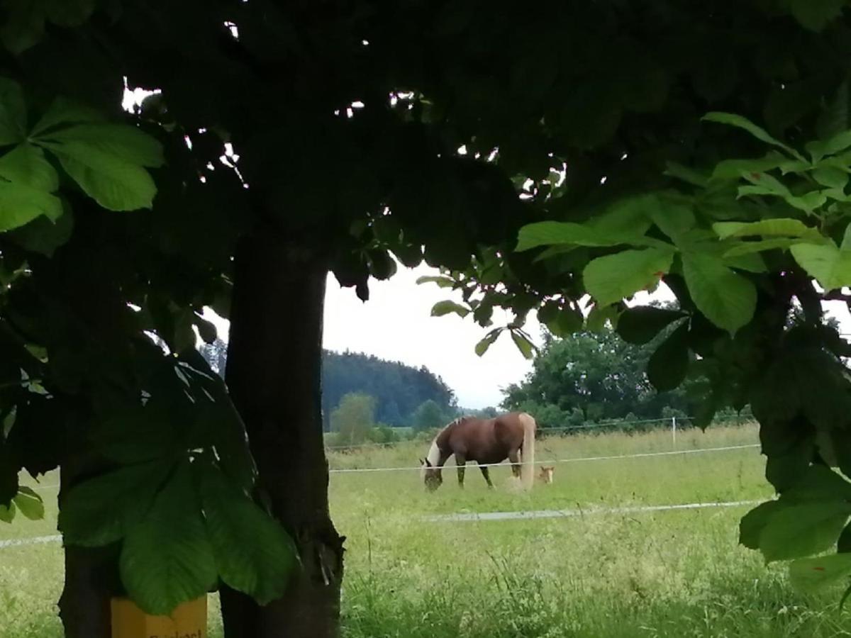 Willa Waldheimat Miltach Zewnętrze zdjęcie